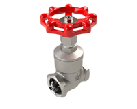SVF505FSST06 1 1/4" GLOBE Valve 800# FS, BB, A182-F316L Threaded  850F @1975 PSI